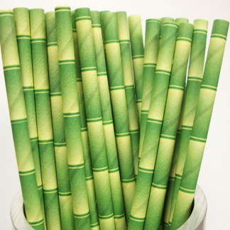 Jungle / Tropical Bamboo Straws (25)