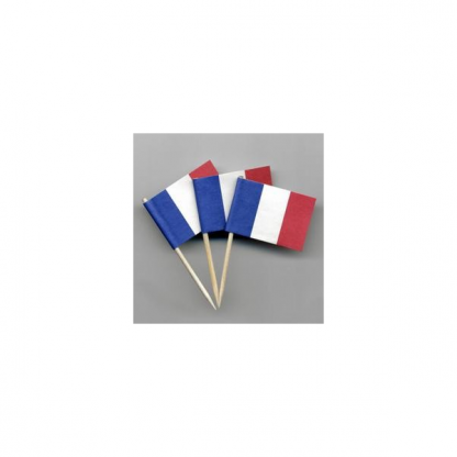 France Flag Picks (20pk)