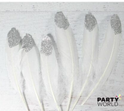 white and silver feathers