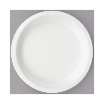 White Paper Plates 9inch (24)