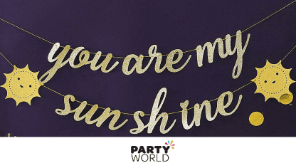 you are my sunshine banner