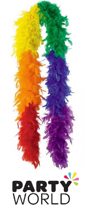 Rainbow Coloured Feather Boa