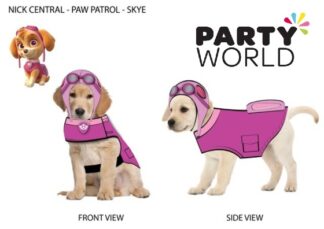 Paw Patrol Party Small Dog Hat Skye - Pink
