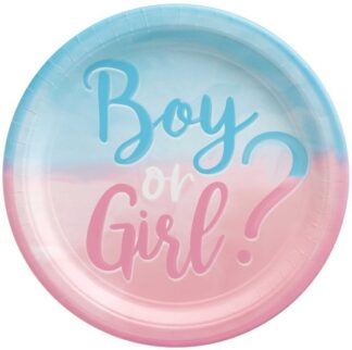 The Big Reveal Boy Or Girl Party Large Paper Plates (8)