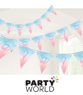 The Big Reveal Boy Or Girl Party Pennant Banner