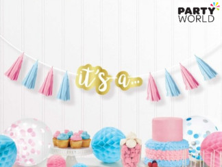 gender reveal banner its a
