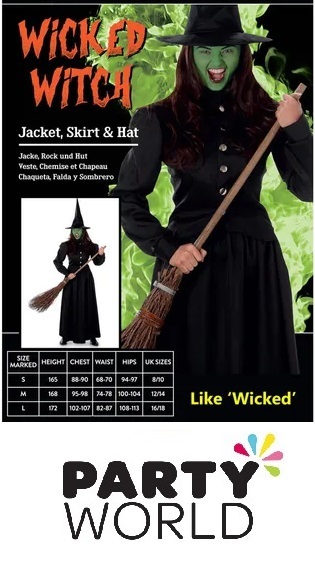 Ladies Wicked Witch Costume (M)