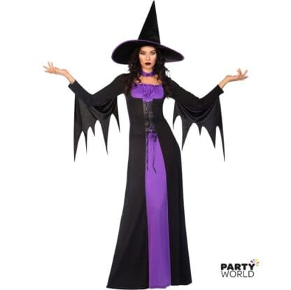 classic witch adult halloween costume