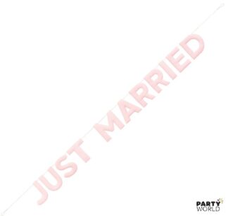 pink just married banner