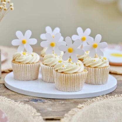 Ditsy Daisy Floral Party Cupcake Toppers (12)