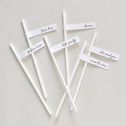 Hen's Party Paper Straws (16)