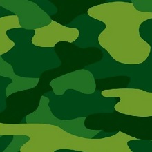 Camouflage / Army